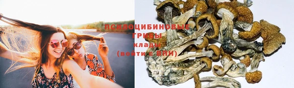 бошки Белокуриха