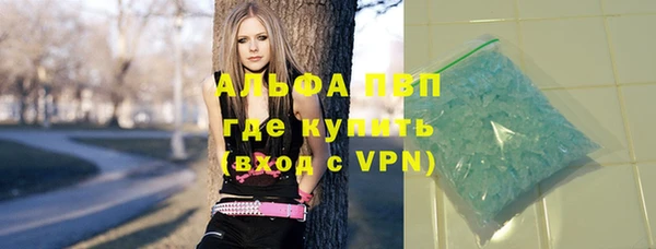 бошки Белокуриха